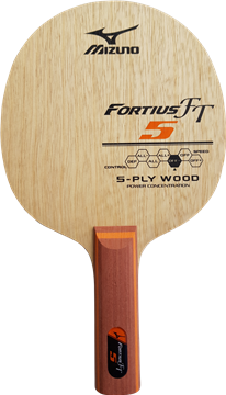 MIZUNO FORTIUS FT5